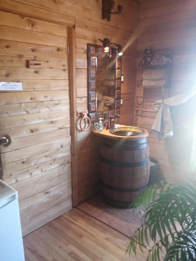 L'Oasis Du Pirate Bed & Breakfast Lévis Екстериор снимка
